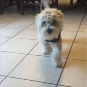 Meet your Posher, Karla